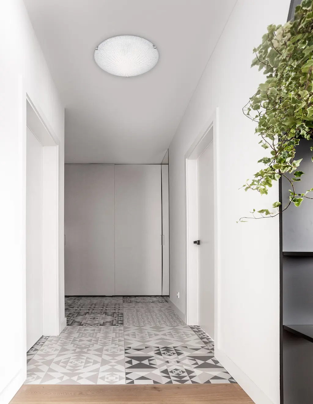 SHELL — Appliques murales Nova Luce