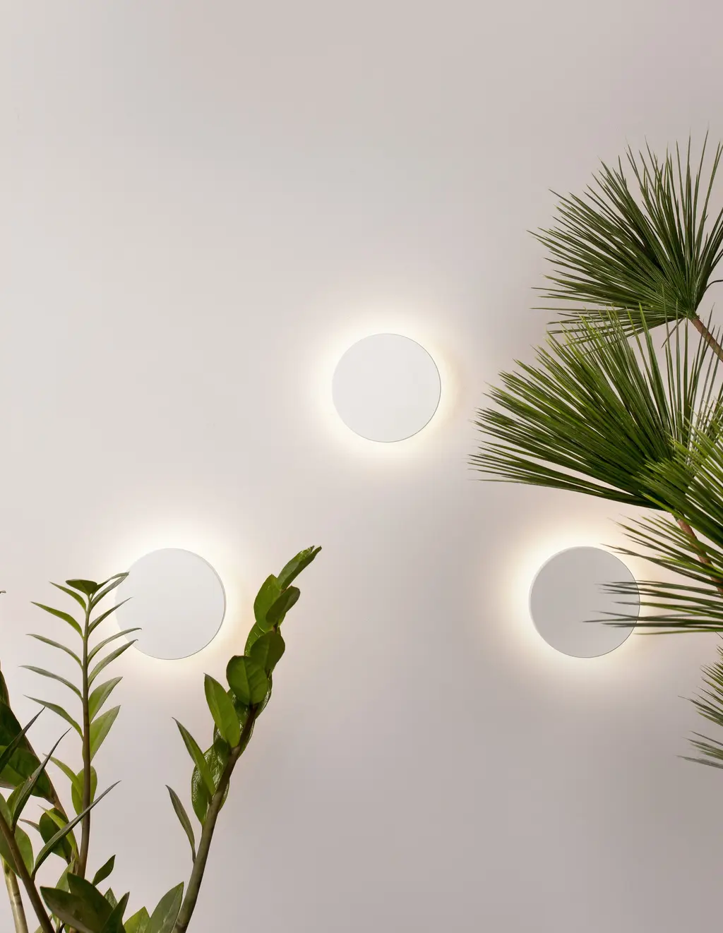 SUITE — Appliques murales Nova Luce