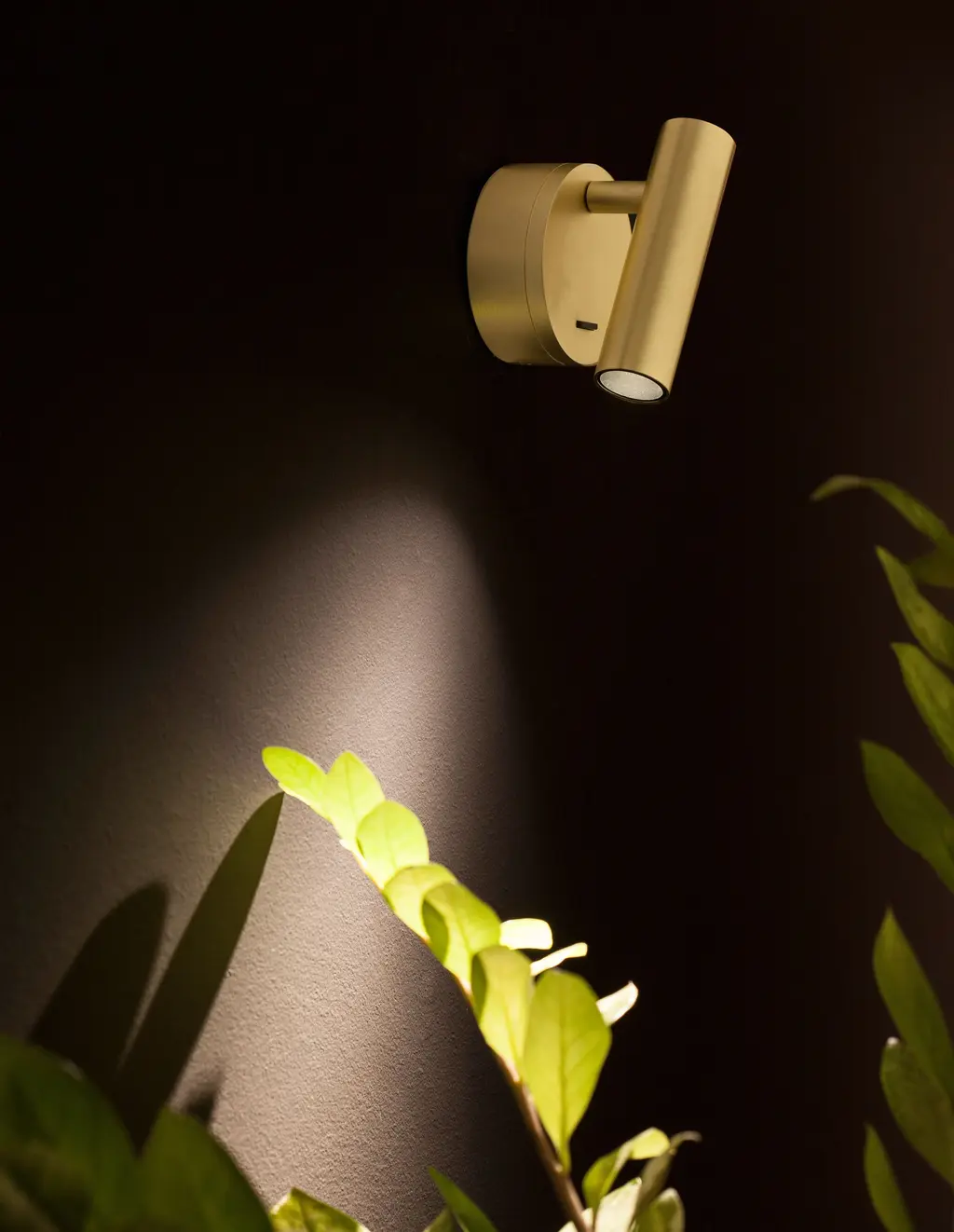 CLIP — Appliques murales Nova Luce