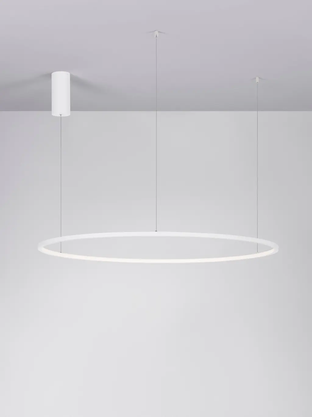 TARQUIN — Suspensions Nova Luce