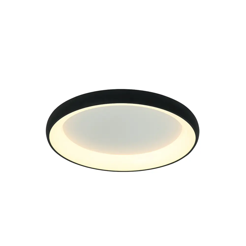 Plafonnier LED — Plafonniers Zambelis Lights