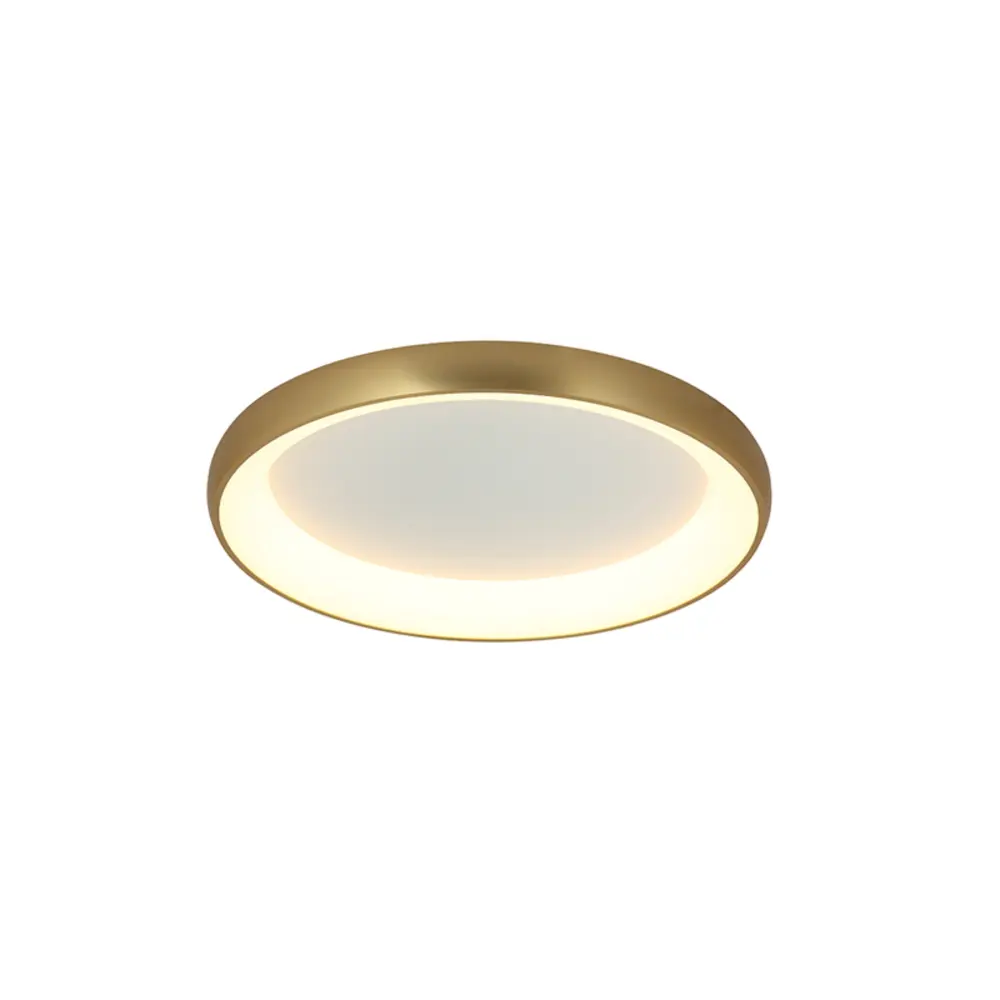 Plafonnier LED — Plafonniers Zambelis Lights