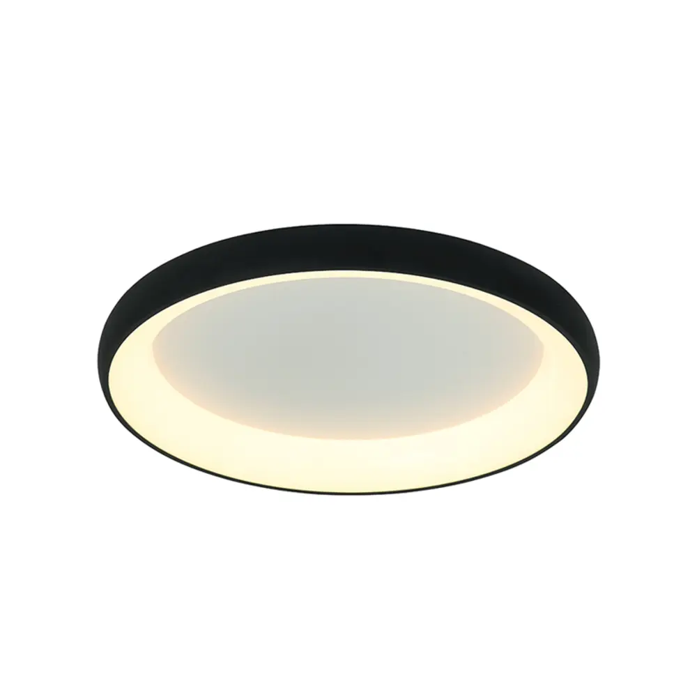 Plafonnier LED — Plafonniers Zambelis Lights