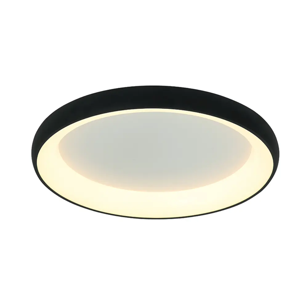 Plafonnier LED — Plafonniers Zambelis Lights