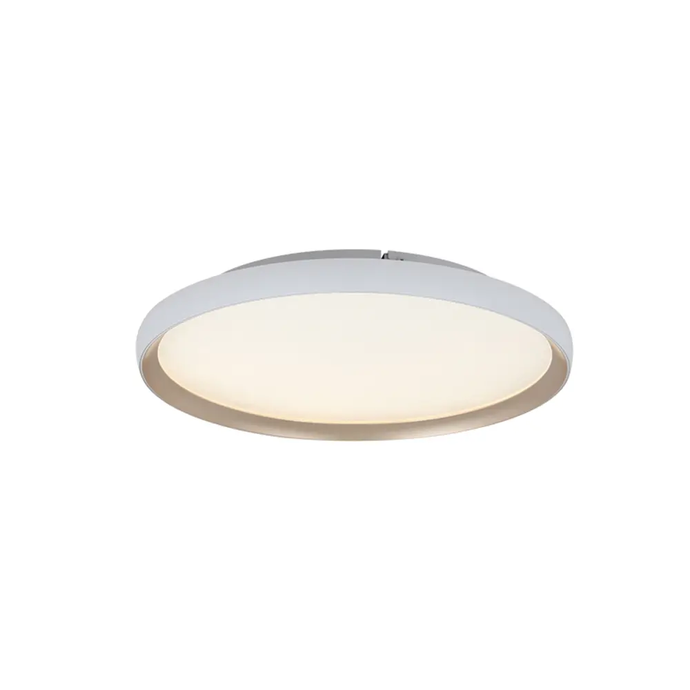 Plafonnier LED — Plafonniers Zambelis Lights