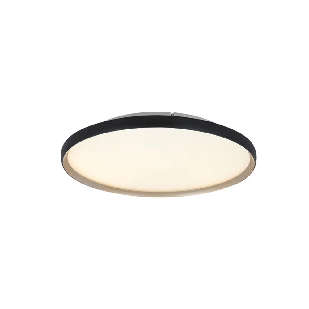 Plafonnier LED — Plafonniers Zambelis Lights