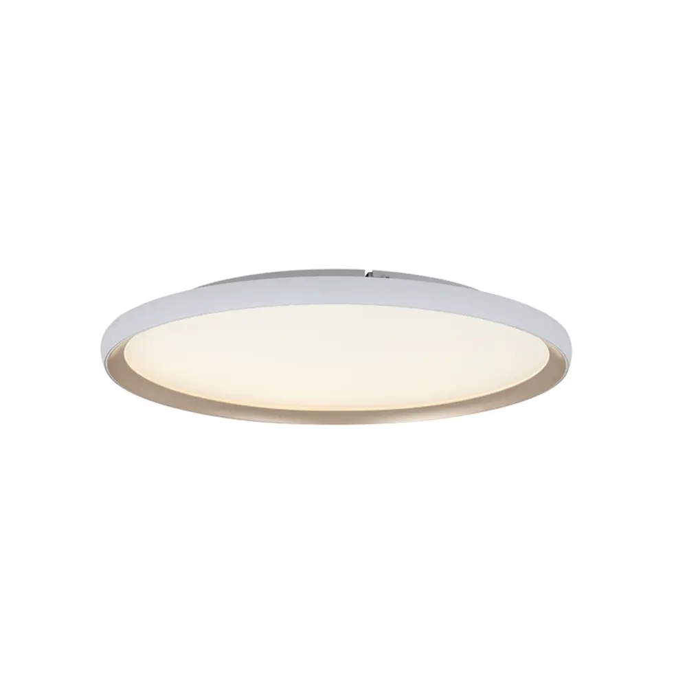 Plafonnier LED — Plafonniers Zambelis Lights