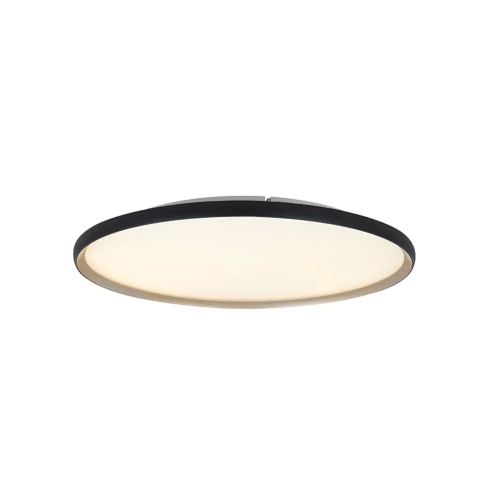 Plafonnier LED — Plafonniers Zambelis Lights