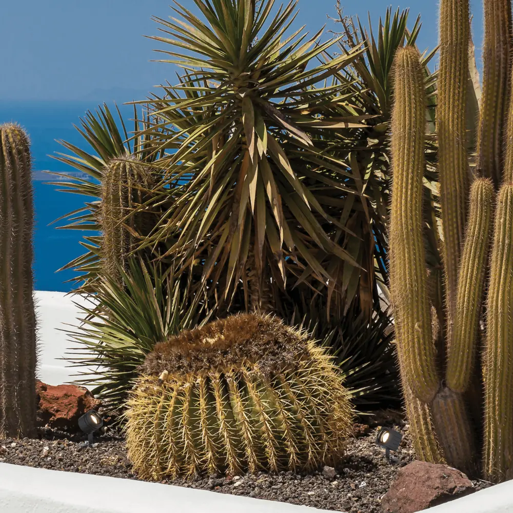 EON — Piquets de jardin Zambelis Lights